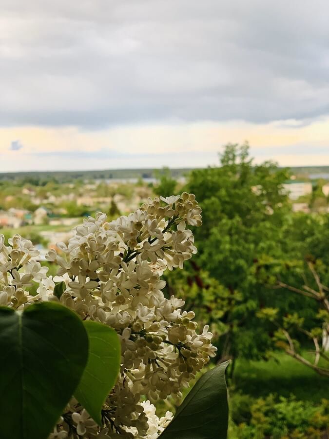 Гостевой дом Гостевой дом 